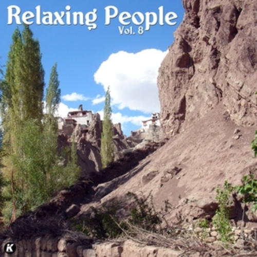 Afficher "RELAXING PEOPLE VOL 8"