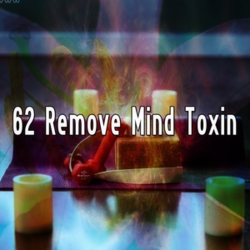 Afficher "62 Remove Mind Toxin"