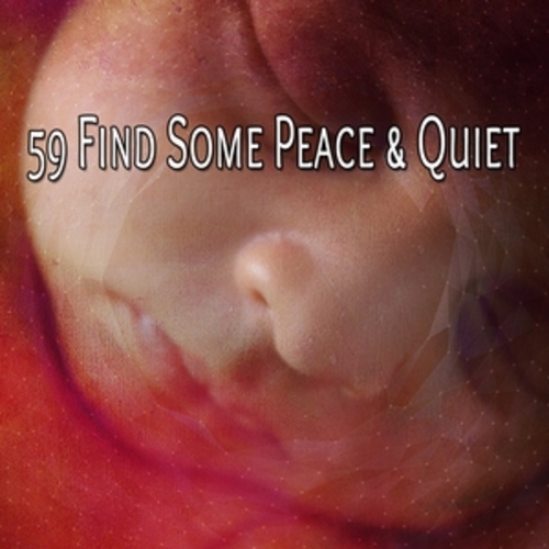 Afficher "59 Find Some Peace & Quiet"