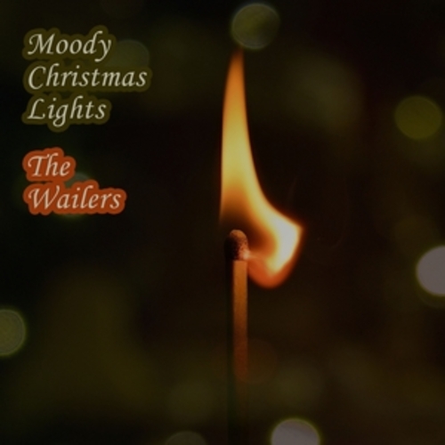 Afficher "Moody Christmas Lights"