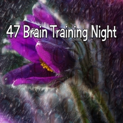 Afficher "47 Brain Training Night"
