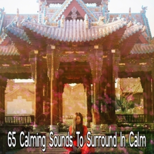 Afficher "65 Calming Sounds To Surround In Calm"