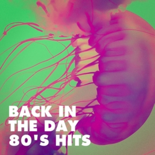 Afficher "Back in the Day 80's Hits"