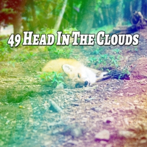 Afficher "49 Head In The Clouds"