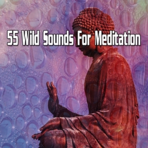 Afficher "55 Wild Sounds For Meditation"