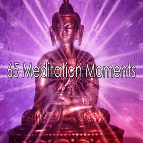 Afficher "65 Meditation Moments"