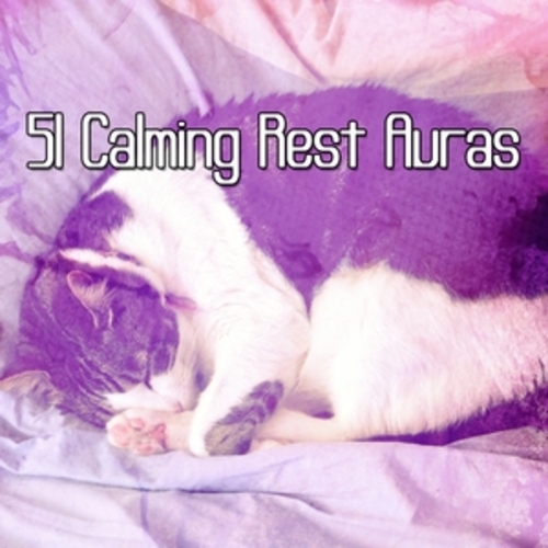 Afficher "51 Calming Rest Auras"