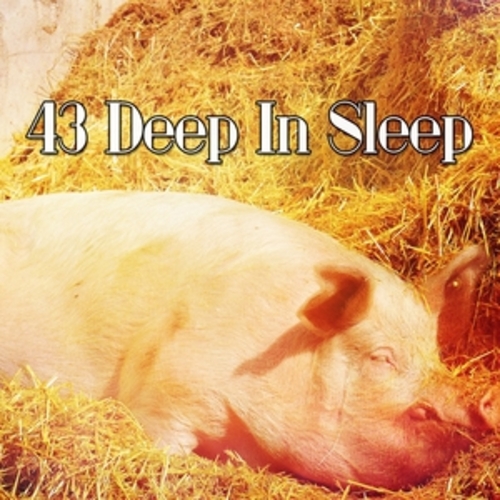 Afficher "43 Deep In Sleep"
