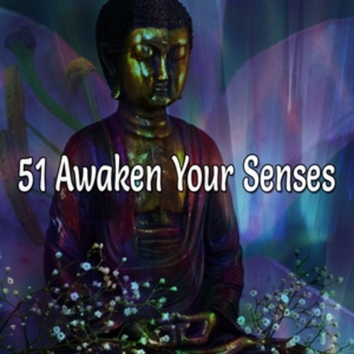 Afficher "51 Awaken Your Senses"