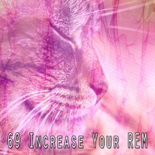 Afficher "69 Increase Your REM"