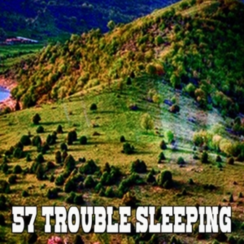 Afficher "57 Trouble Sleeping"