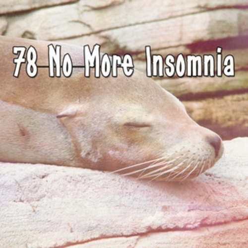 Afficher "78 No More Insomnia"