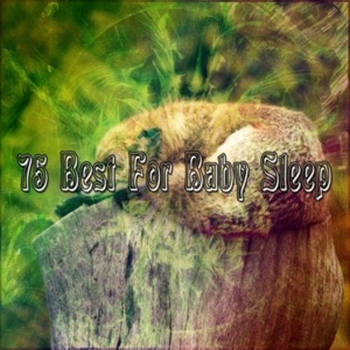 Afficher "75 Best For Baby Sleep"