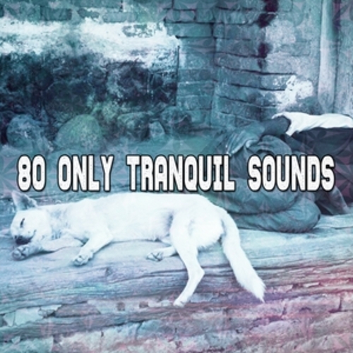 Afficher "80 Only Tranquil Sounds"