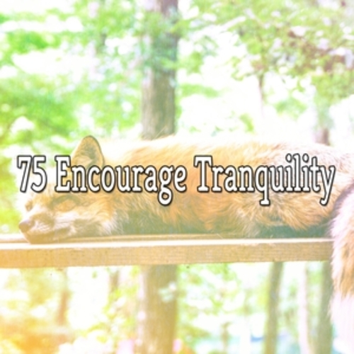 Afficher "75 Encourage Tranquility"