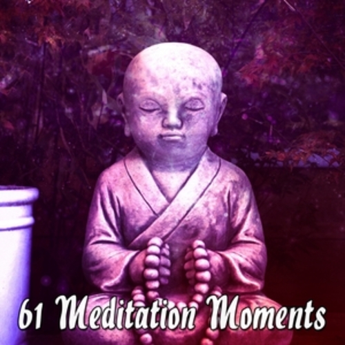 Afficher "61 Meditation Moments"