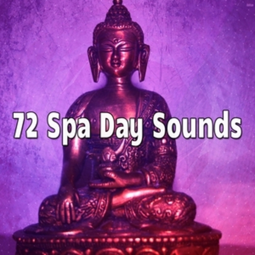 Afficher "72 Spa Day Sounds"