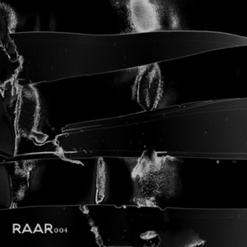Afficher "RAAR004"