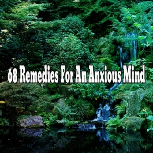 Afficher "68 Remedies For An Anxious Mind"