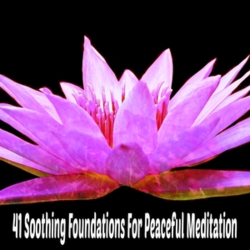 Afficher "41 Soothing Foundations For Peaceful Meditation"