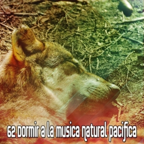 Afficher "62 Dormir a la musica Natural Pacifica"
