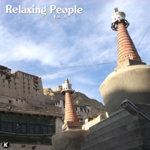 Afficher "RELAXING PEOPLE VOL 31"