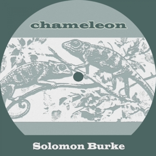 Afficher "Chameleon"