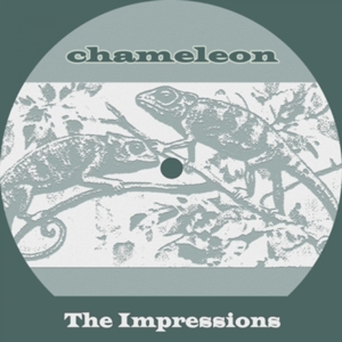 Afficher "Chameleon"
