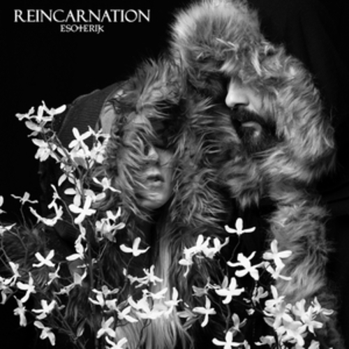 Afficher "Reincarnation"