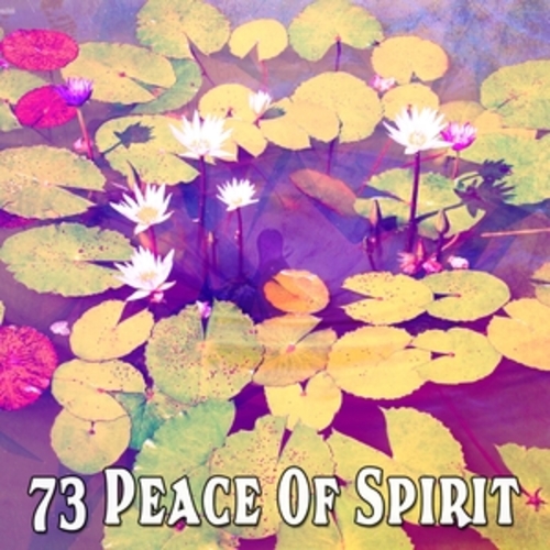Afficher "73 Peace of Spirit"