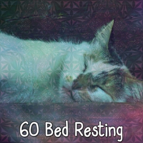 Afficher "60 Bed Resting"