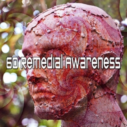 Afficher "60 Remedial Awareness"