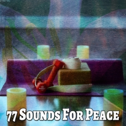 Afficher "77 Sounds for Peace"
