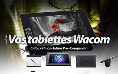 Afficher "Tablette graphique Wacom - Bamboo, Intuos, Cintiq"