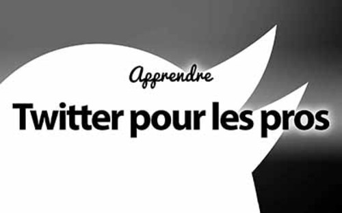 Afficher "Twitter pour les pro"