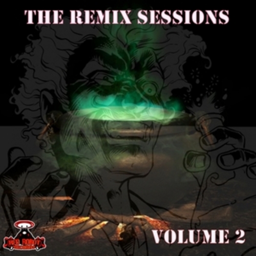 Afficher "The Remix Sessions Vol. 2"