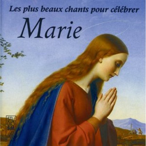 Afficher "Les plus beaux chants pour célébrer Marie"
