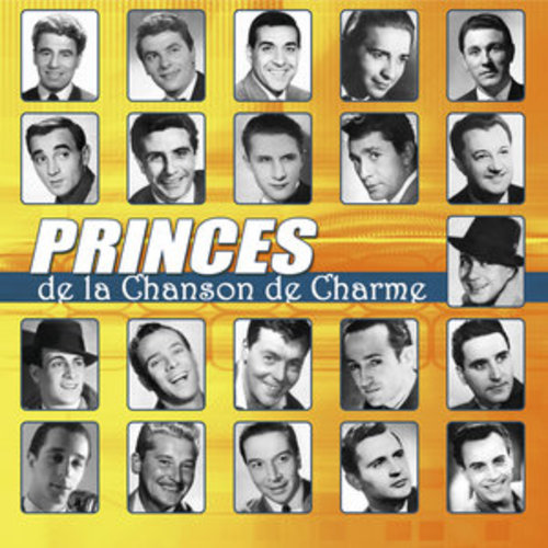 Afficher "Les princes de la chanson de charme"