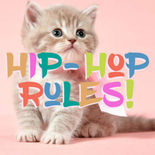 Afficher "Hip Hop Rules!"