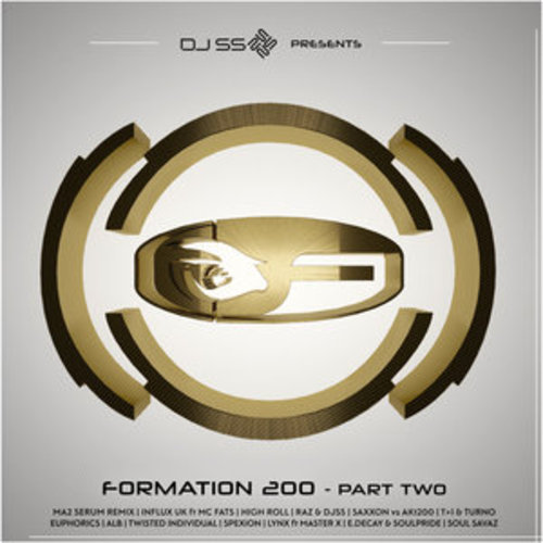 Afficher "DJ SS Presents: Formation 200, Pt. 2"