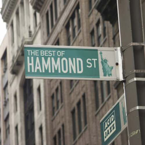 Afficher "The Best of Hammond Street"