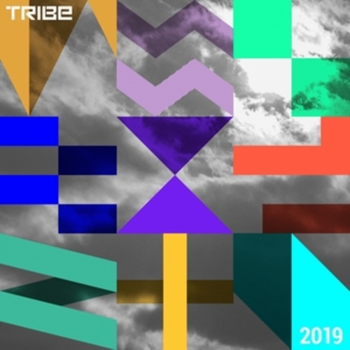 Afficher "Tribe Records Presents Tribe Vibe 2019"