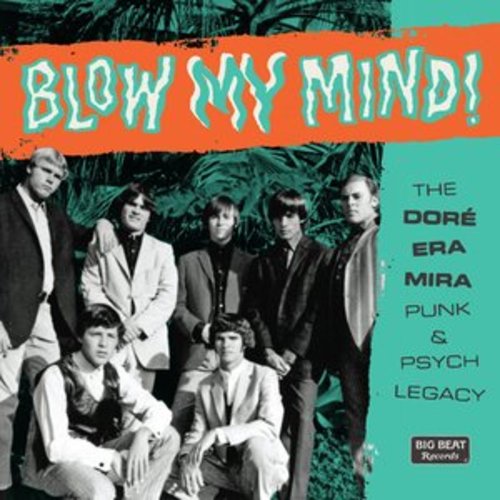 Afficher "Blow My Mind! The Doré-Era-Mira Punk & Psych Legacy"