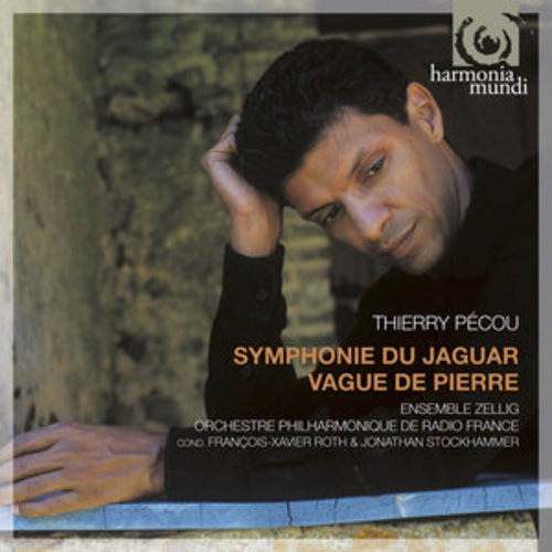 Afficher "Pécou: Symphonie du jaguar; vague de Pierre"