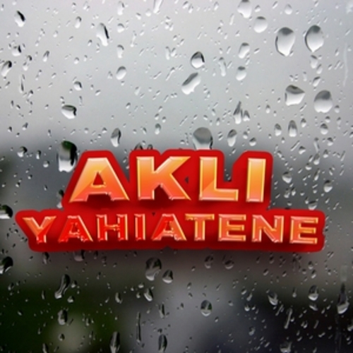 Afficher "best of akli yahiatene"