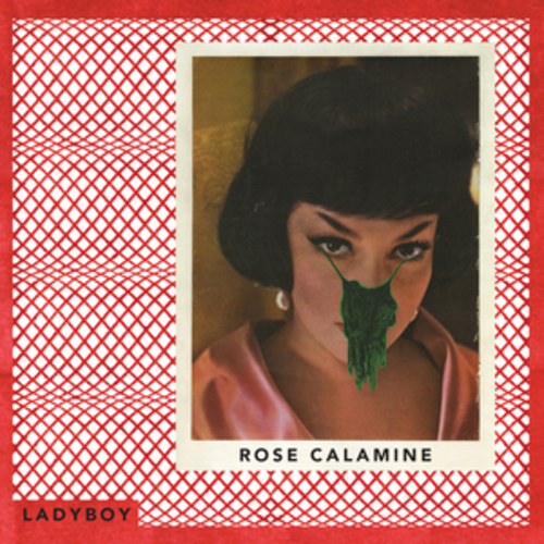 Afficher "Rose Calamine"