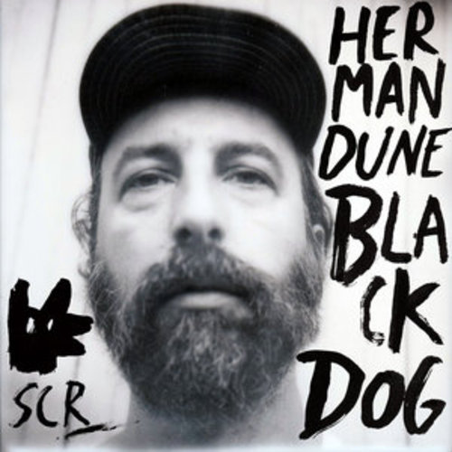 Afficher "Black Dog"