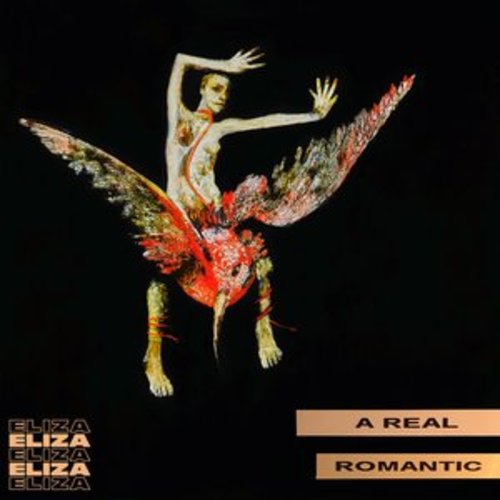 Afficher "A Real Romantic"
