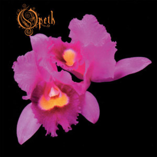 Afficher "Orchid"