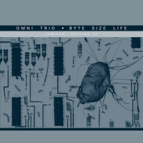Afficher "Byte Size Life (Shimon Remix) / Byte Size Life (Mr Scruff Remix)"